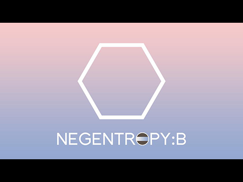 NEGENTROPY:B